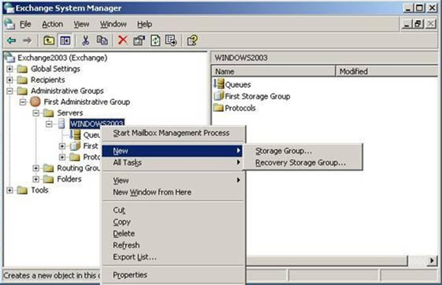 EXCHANGE STORAGE GROUP exchange storage group: