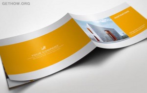 Top Reasons Why You Opt for Brochure Printing