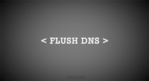 What is DNS Cache and How to Flush DNS Cache?
