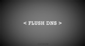What is DNS Cache and How to Flush DNS Cache?