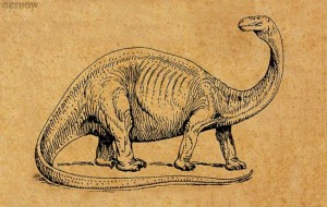 The Top 10 Heaviest Dinosaurs Ever Discovered