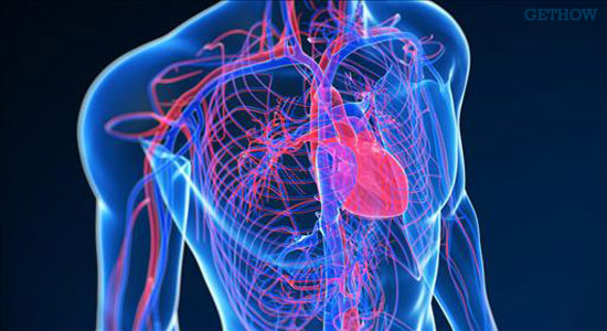 Treat Heart Blockages Treat Heart Blockages