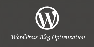 Know About WordPress Blog Optimization