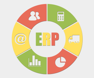 What to Look While Choosing the Best ERP Software Solution Company?