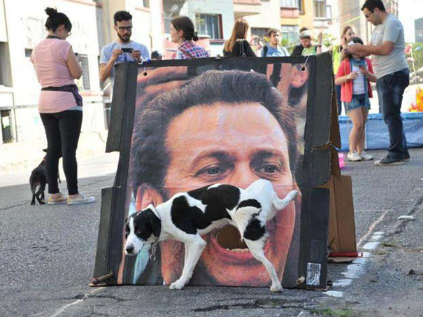 Dog Urinates on Poster