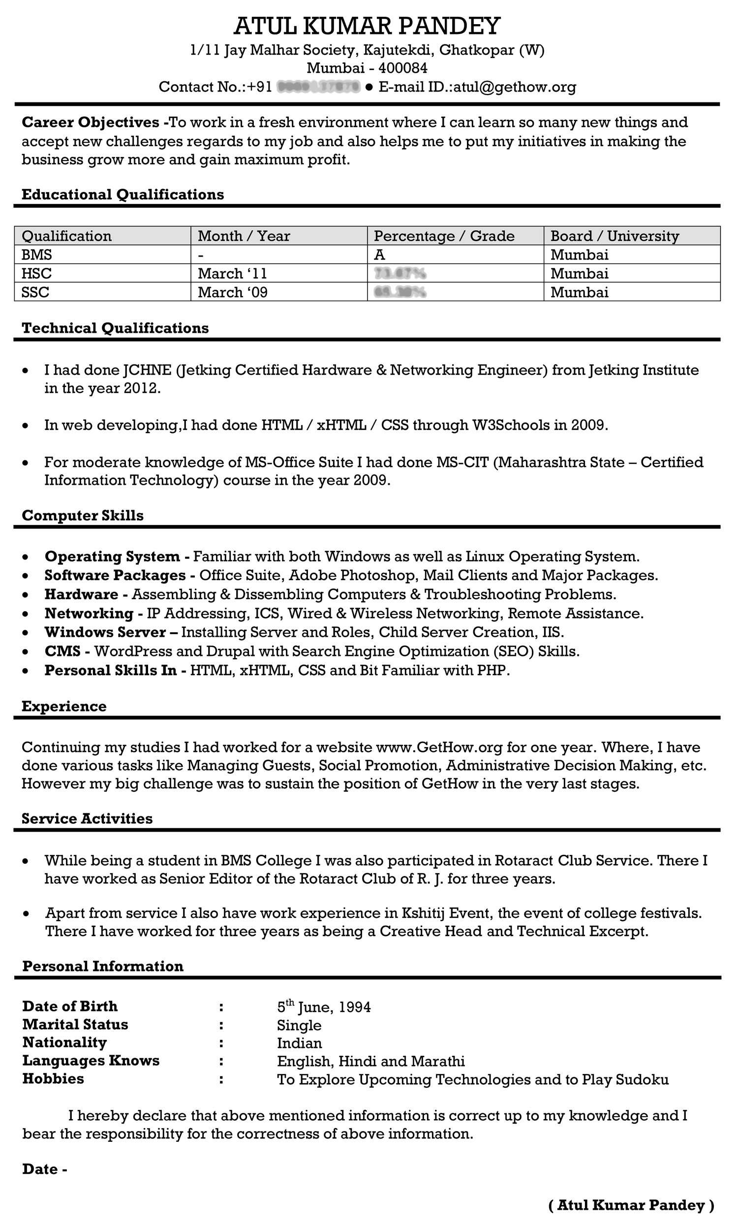 diy resume