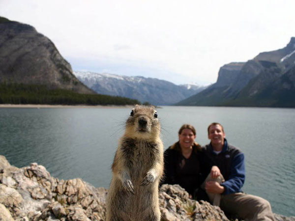 Squirrel Photobomb