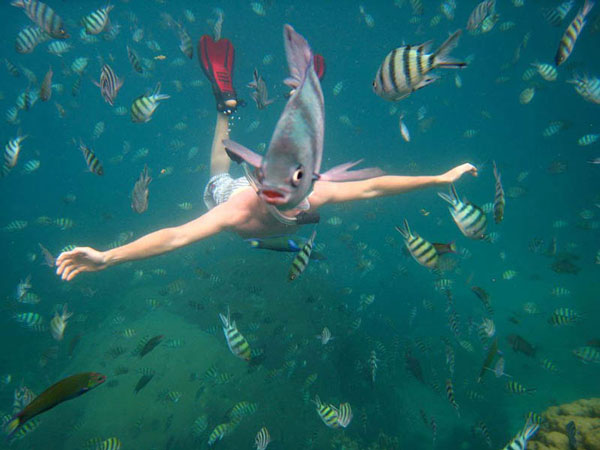 Underwater Fish Photobomb