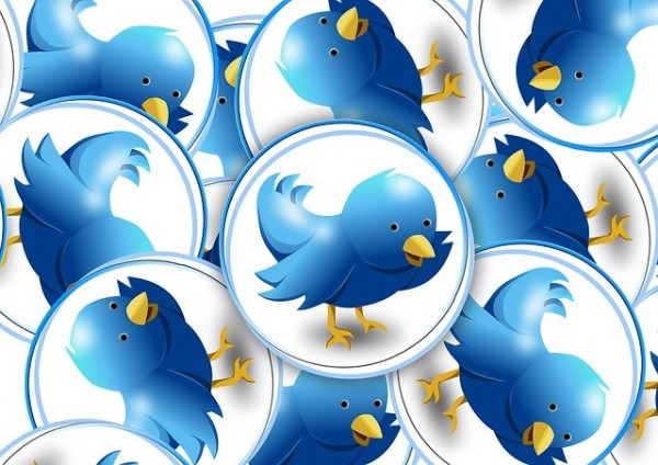 Beginners’ Guide to Increasing Twitter Followers