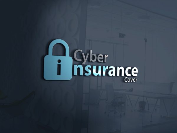 5 Ways the Cyber Risk Liability Insurance Can Protect Your Business from the Risk of Data Loss