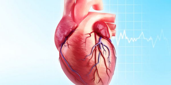Is Cardiac Ailment Generic?