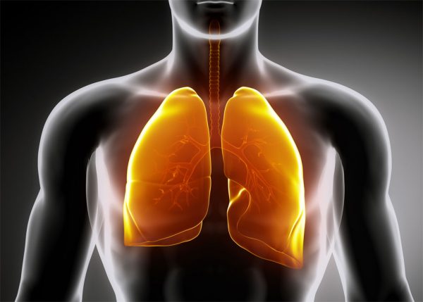 8 Things You Can Do Easily to Strengthen Your Lungs
