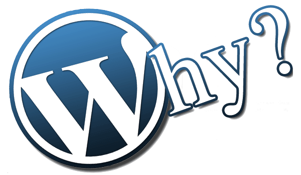 Why Are WordPress Websites Chosen?