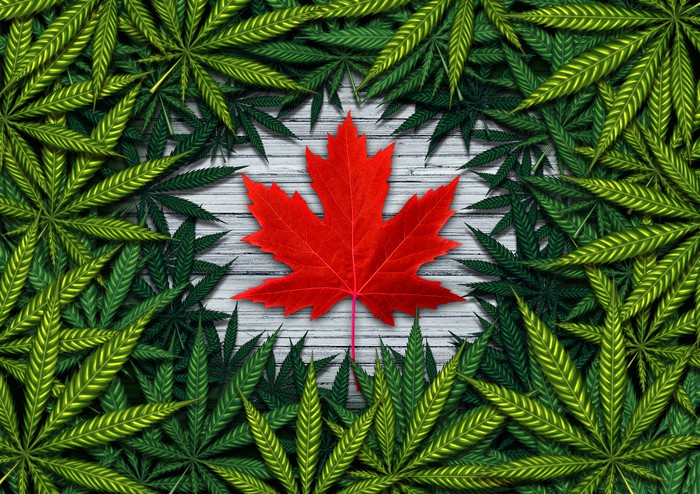 Canadian Cannabis Stocks