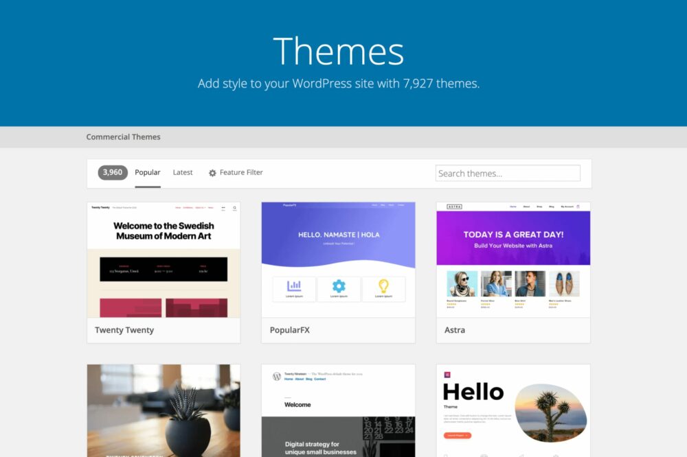 WordPress themes