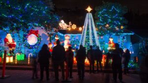 Animated Christmas Lights: The Art and Science of Light Shows
