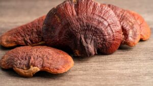 How Long Does it Take for Reishi Mushrooms to Work?