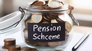 Government Pension Plans vs. Private Pension Plans