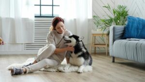How to Maintain Clean Floors in Apartments with Pets