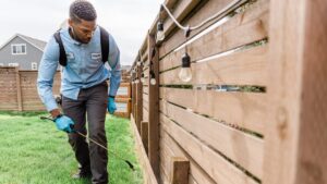 How to Protect Wooden Structures from Pest Damage