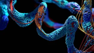 How Peptides Are Part of Health Management